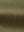 Y13